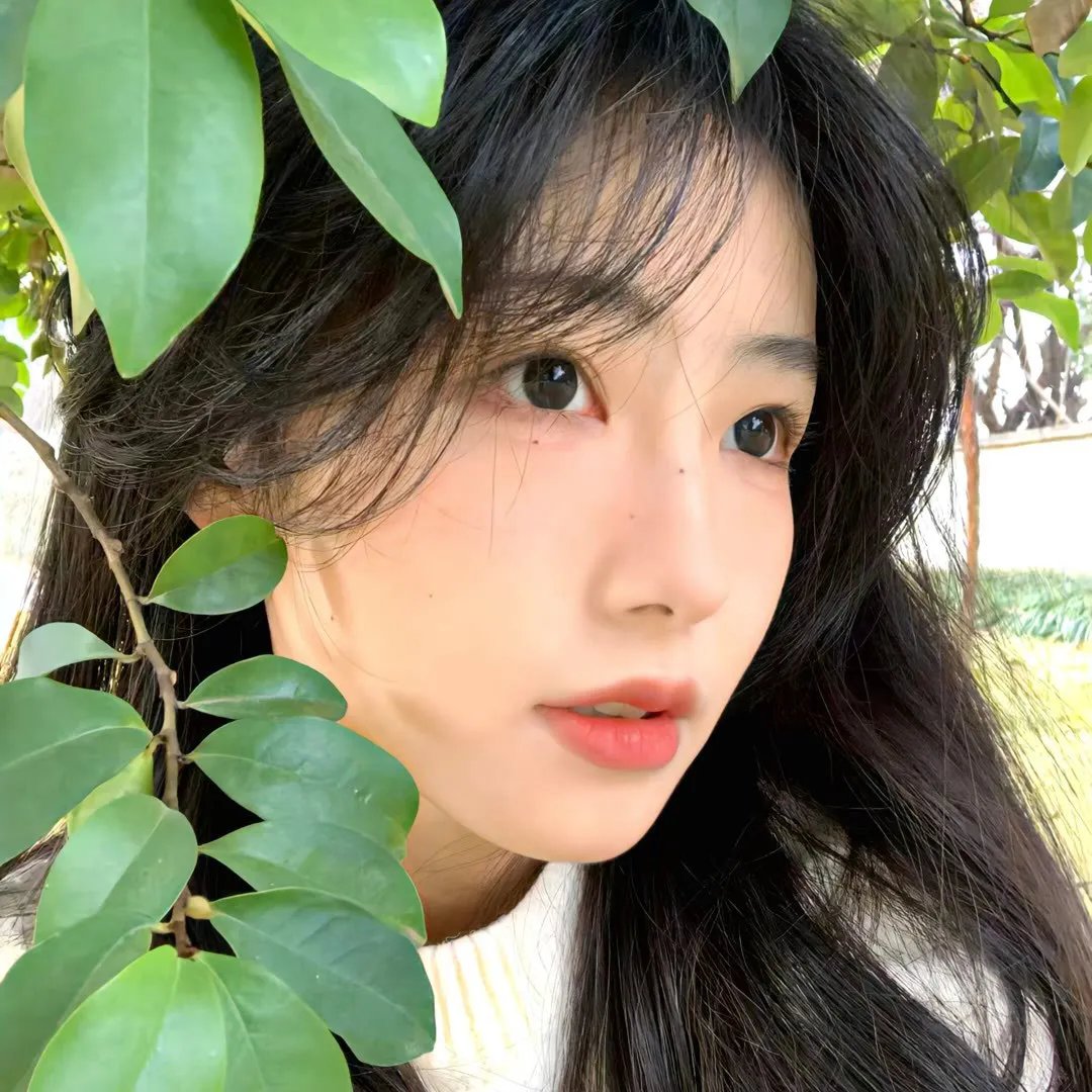 万渣朝凰第四季